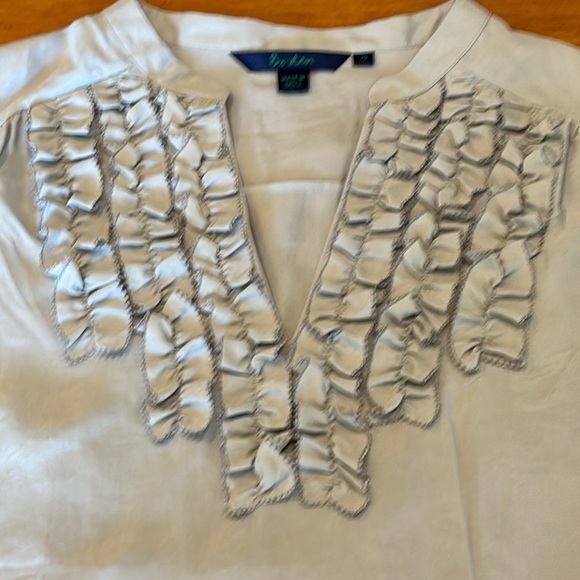 BODEN SILK BLOUSE WOMEN’S SIZE 10 EUC 100% SILK Pale Grey Gray V-Neck Ruffle 🩶 - Picture 2 of 16